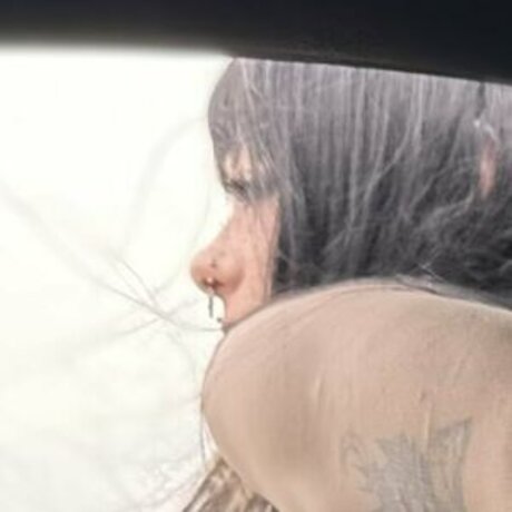 hondawhxre star art gallery