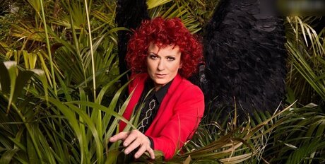 Ich bin ein Star Holt mich hier raus_ pornstar nude archive