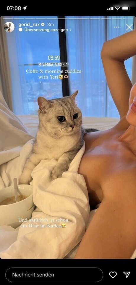 Gerid Rux art pornstar gallery