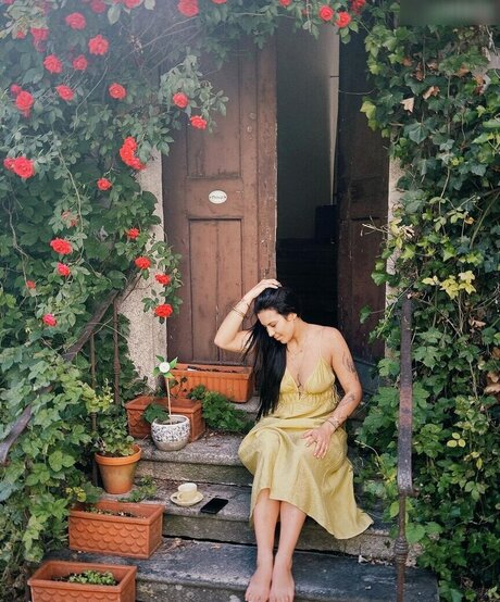 Vendewaa star hd photo