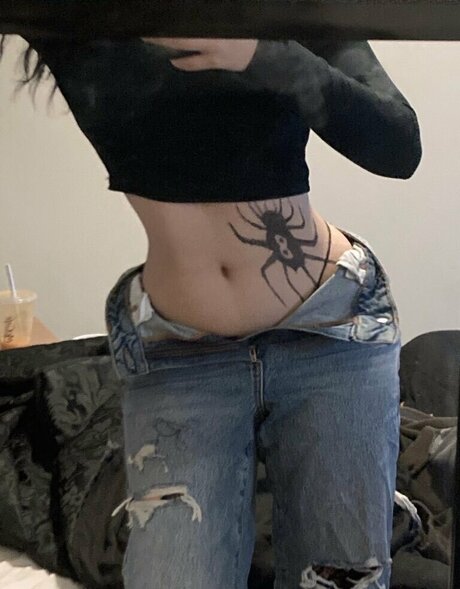 tt t772 star best photo