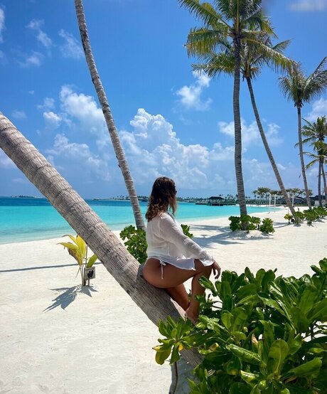 Lexi Si ziehl abegg star porn archive