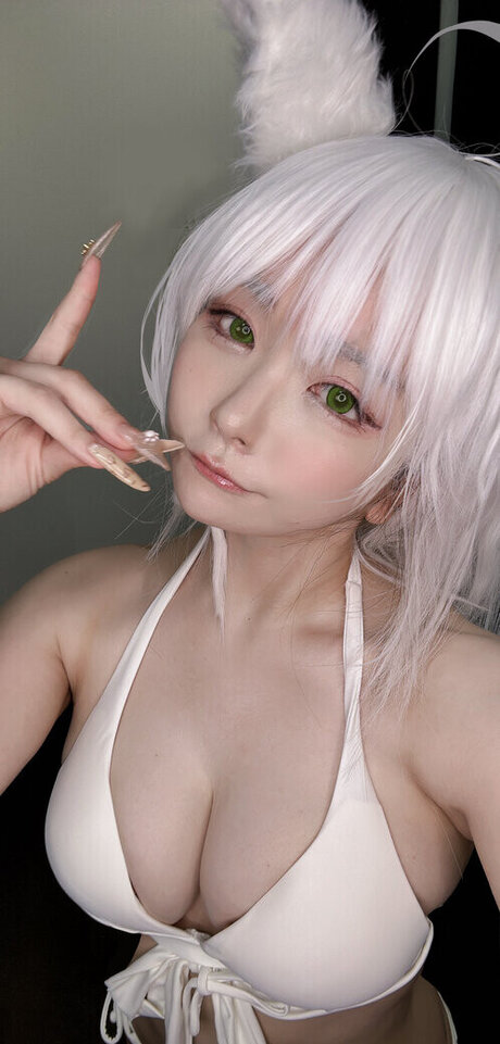 sukiyaki high quality model galleries