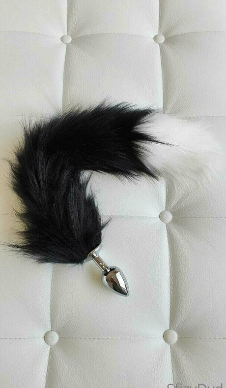 sfizydyd pornstar adult gallery