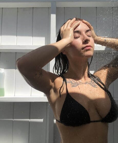 mopykav best star photos