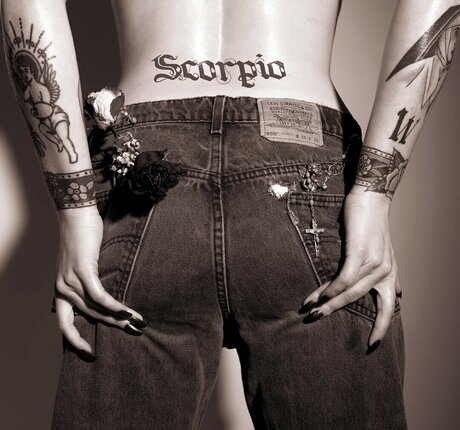 Brennan Wedl star porn galleries