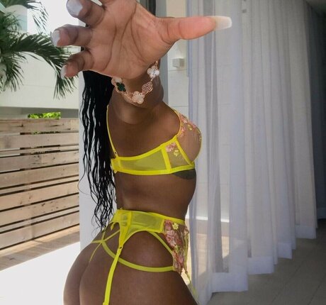 Trapezoidmouth beautiful star img