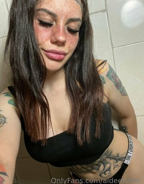 Aidee Haller art pornstar galleries