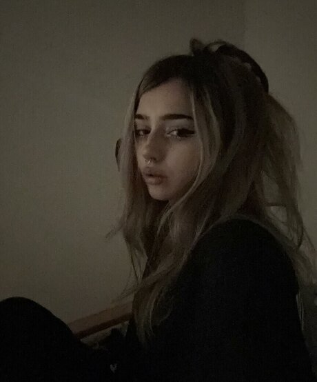 pavuk1 0 star pretty photo