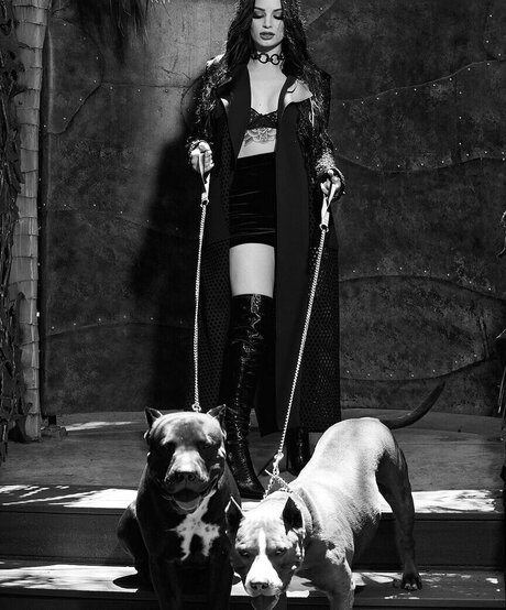 Saraya Jade Bevis exclusive pornstar galleries