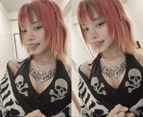 zems3lling star perfect gallery