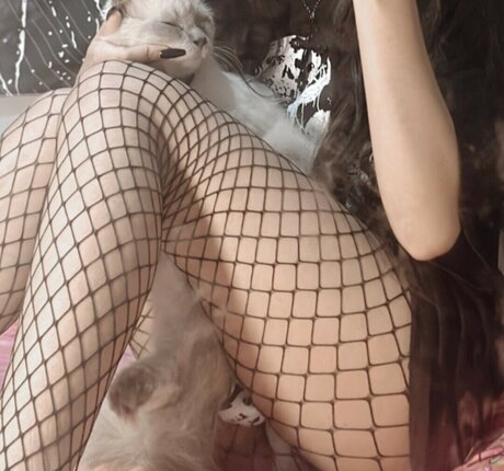 zems3lling free pornstar picture