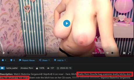 Kirsten Dilles pornstar free galleries