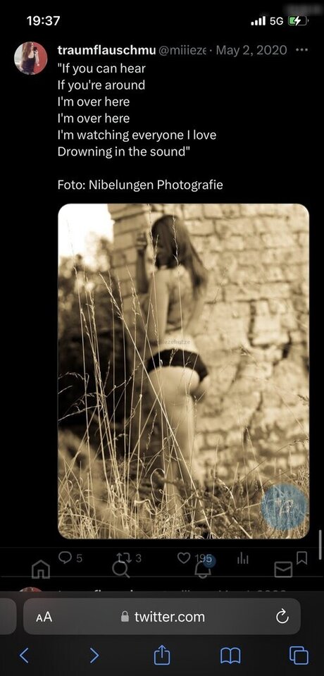 traumflauschmuschi beautiful star img