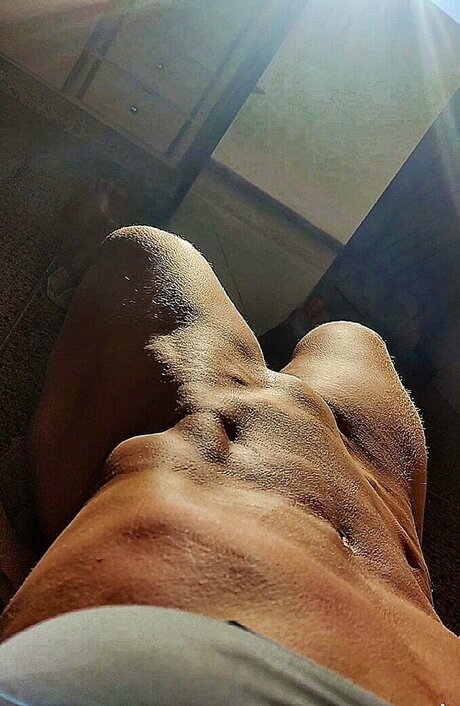 Silv nia Corgosinho actress image