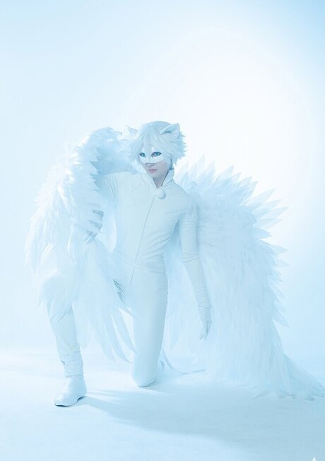 Waterloo hd model galleries