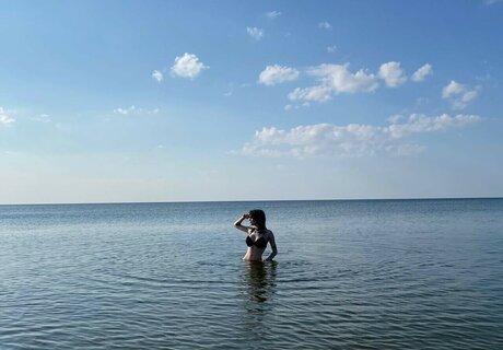 Waterloo Quick model image