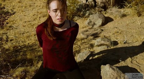 DomTheNation top pornstar images