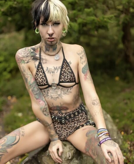 miicky3 0 top star images