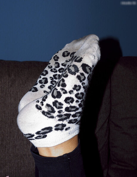 anal onlyfans erotic galleries