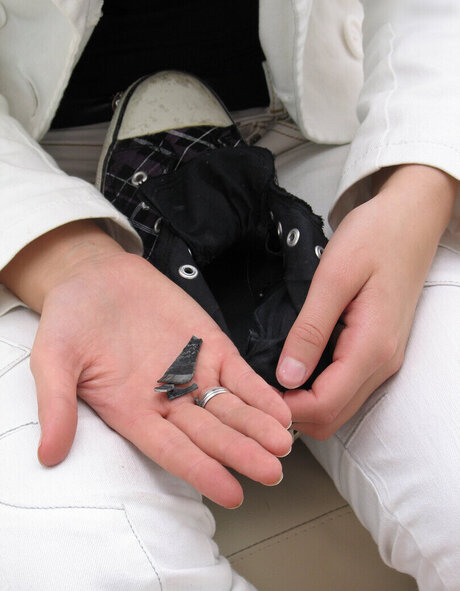 Footlovegirls nice star galleries