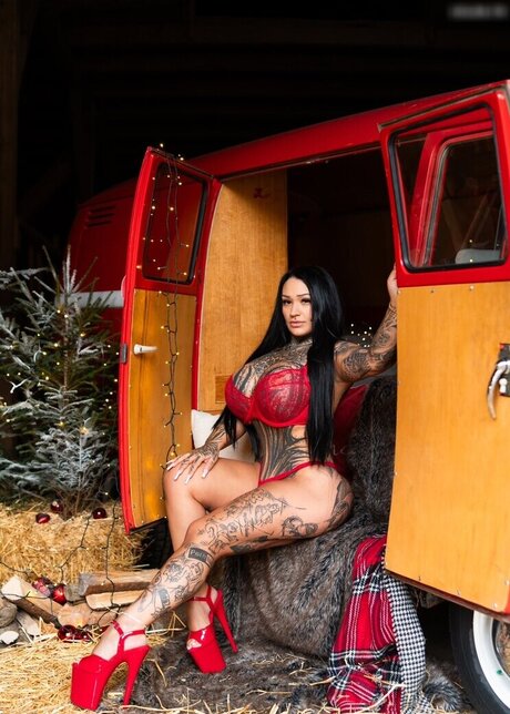 Stifflersmom high quality star photos