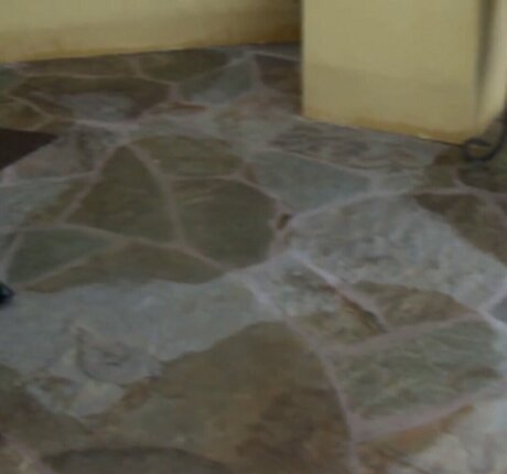 VelicityVon hot actress gallery