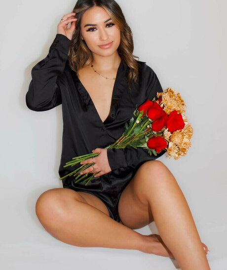 Arleigh Burke star top images