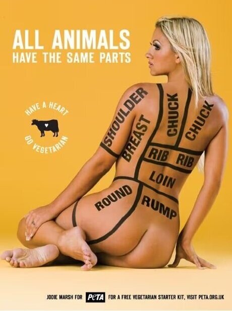 Werbungen nice actress picture