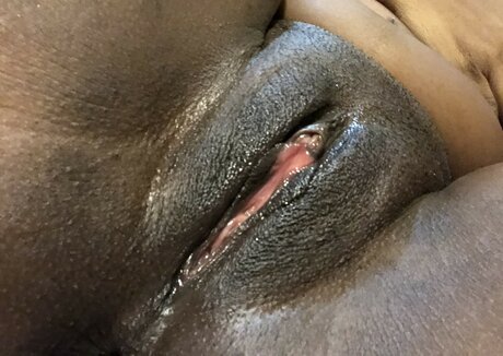 Juicy Couture pornographic star images