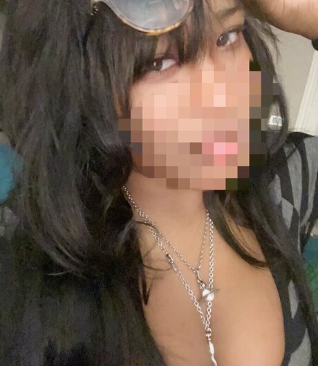 pokeltos adult actress galleries