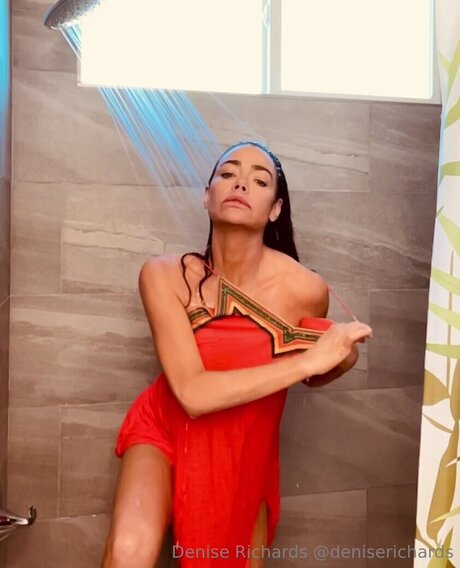 Denise Richards model pornographic pictures