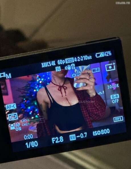 Soph Stardust top pornstar archive