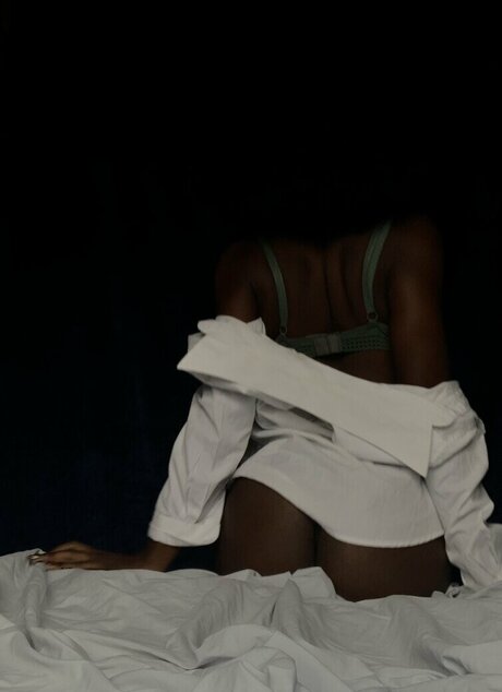 suga antz pornstar adult archive