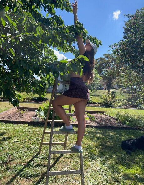 Hedda wmd hd actress pic