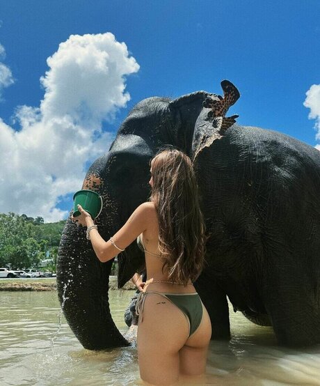 petite bbc onlyfans naked gallery