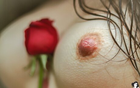 Dinhasun hd actress picture