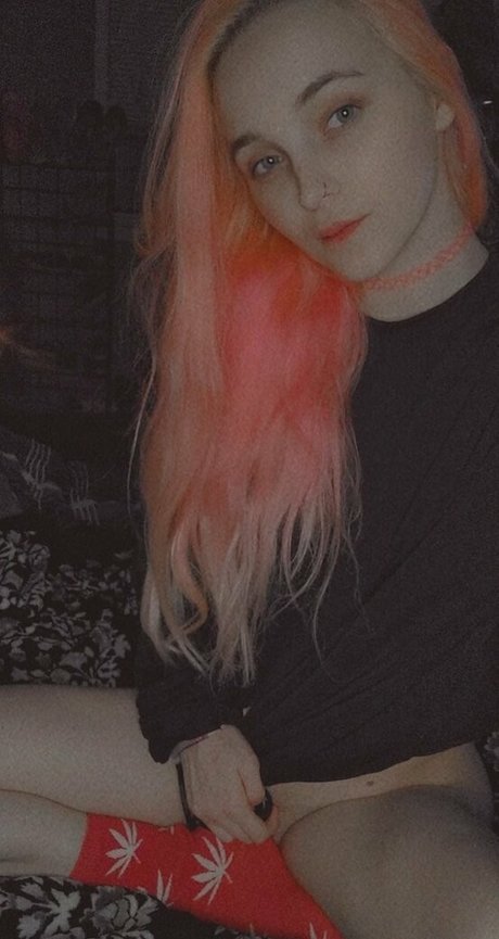 kushgirlxxfree pornstar hot archive