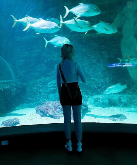 femboy gay onlyfans art xxx pic