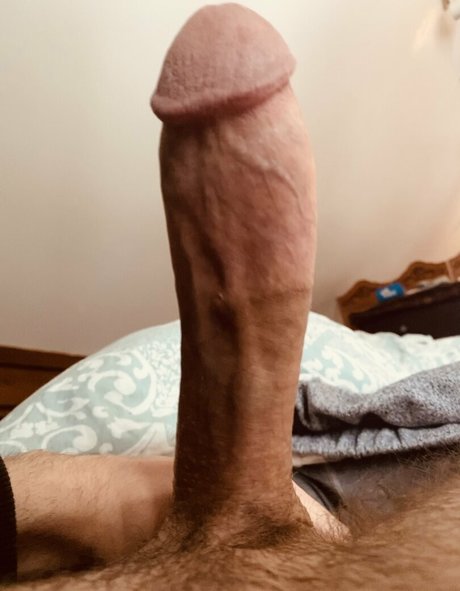 jmexhibitions pretty pornstar archive