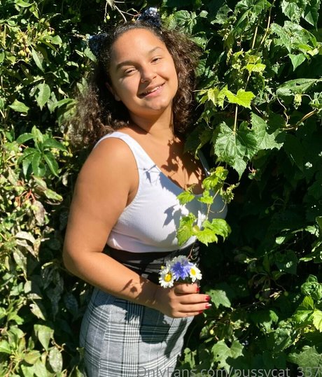 pussycat 357 model best images