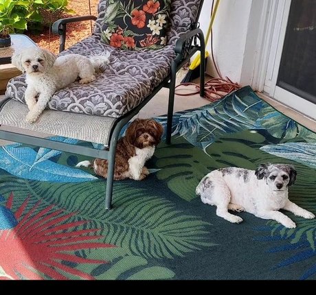 college couple onlyfans xxx pics