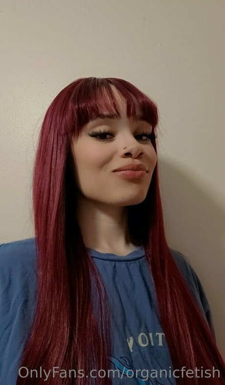 persian muffins star nice galleries