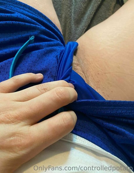 controlledpotato art model picture