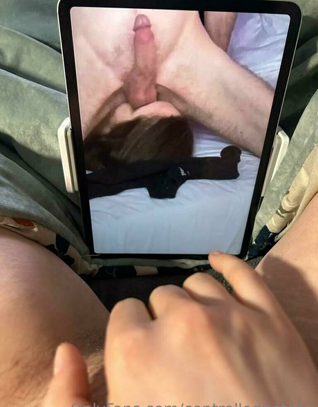 controlledpotato art model pics