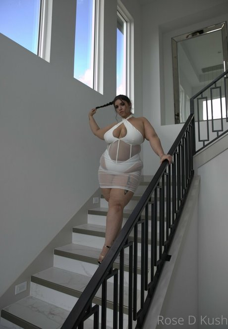 rose d kush star top images