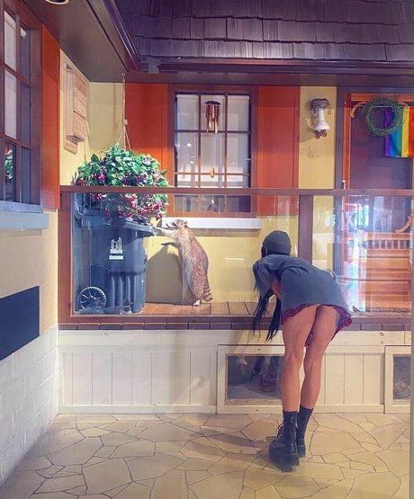 Lights Poxleitner best model photos