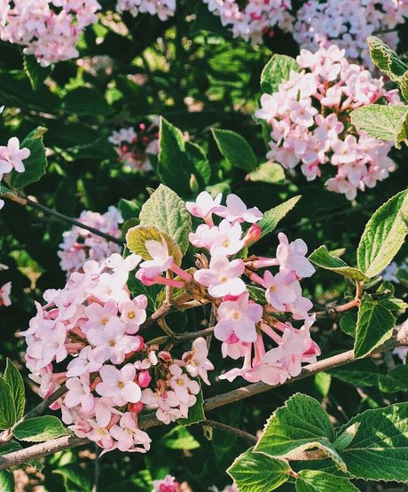 gay teen onlyfans art xxx pic