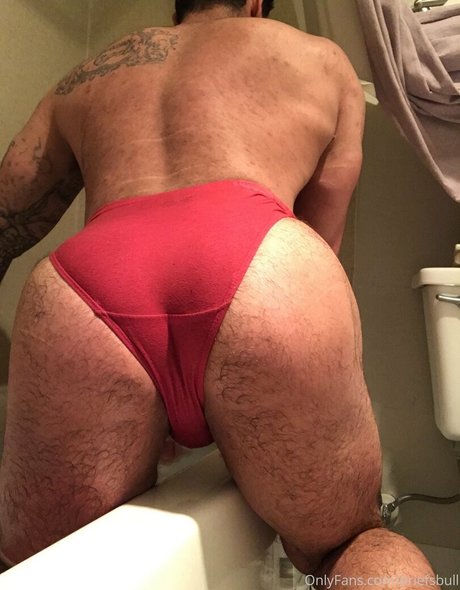 briefsbull nice model galleries