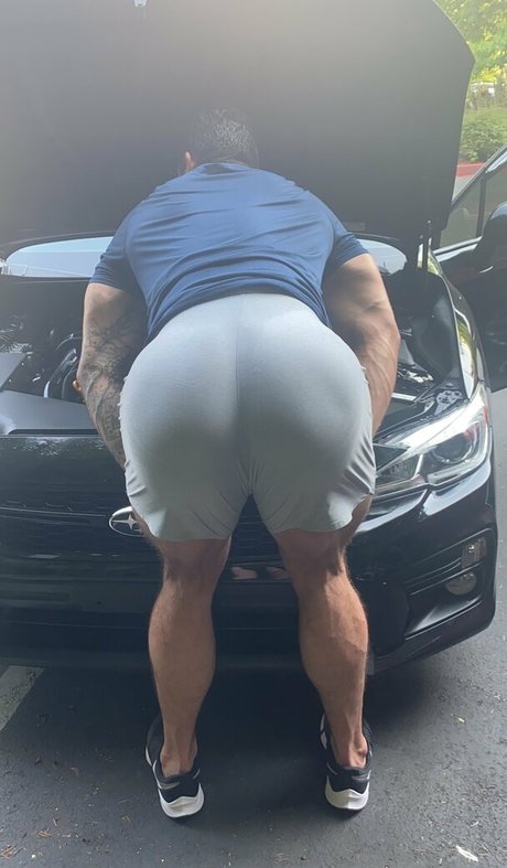 briefsbull star art images